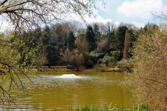 Weiher im Willy Dohmen Park