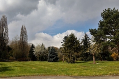 Willy Dohmen Park