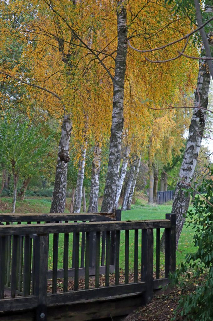 Brücke am Unteren Breyeller See