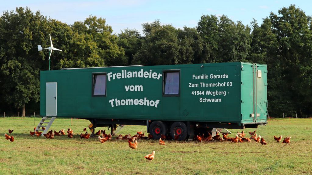 Freilandhühner Thomeshof