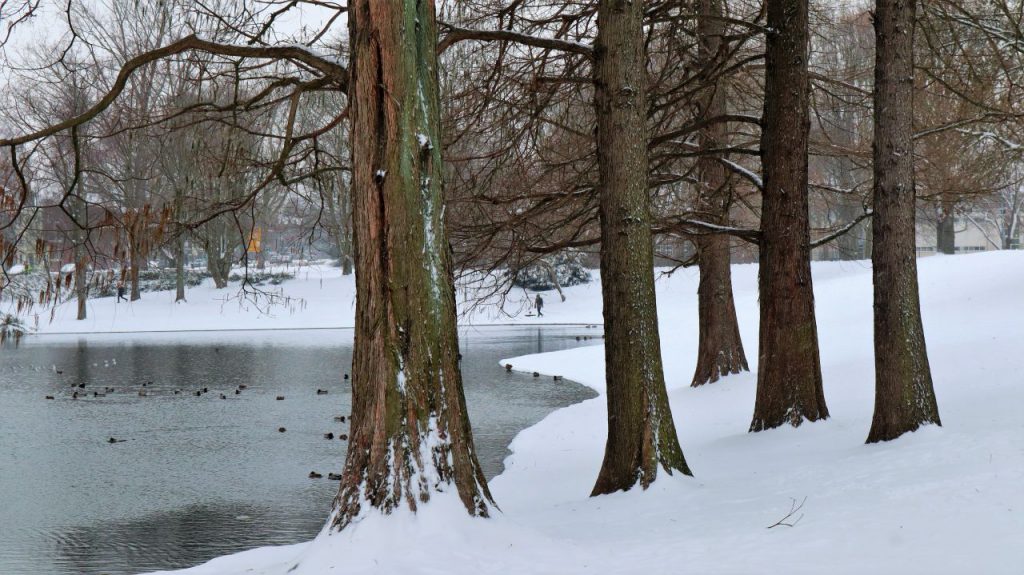 Geroweiher