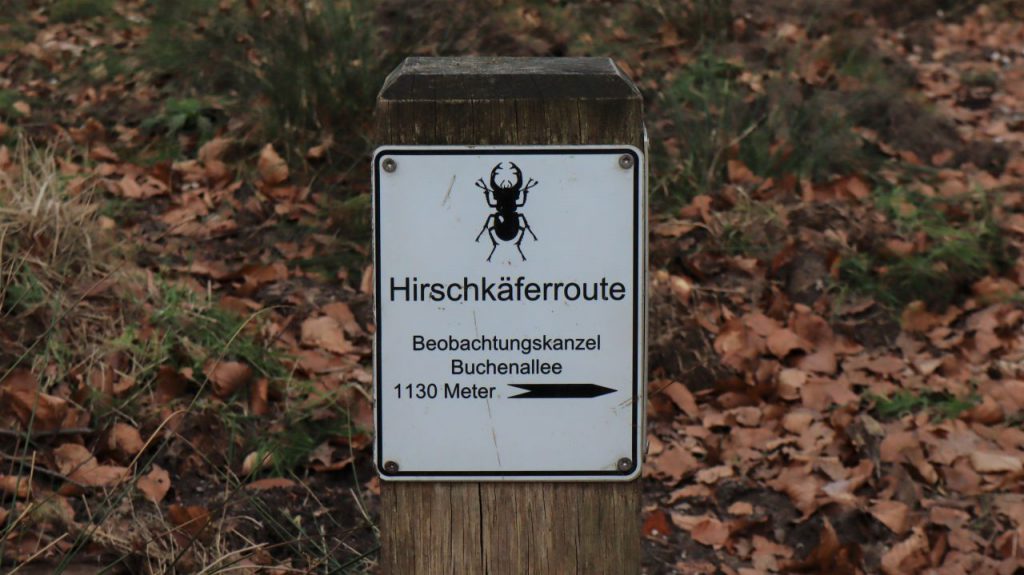 Hirschkäferroute Diersfordterwald