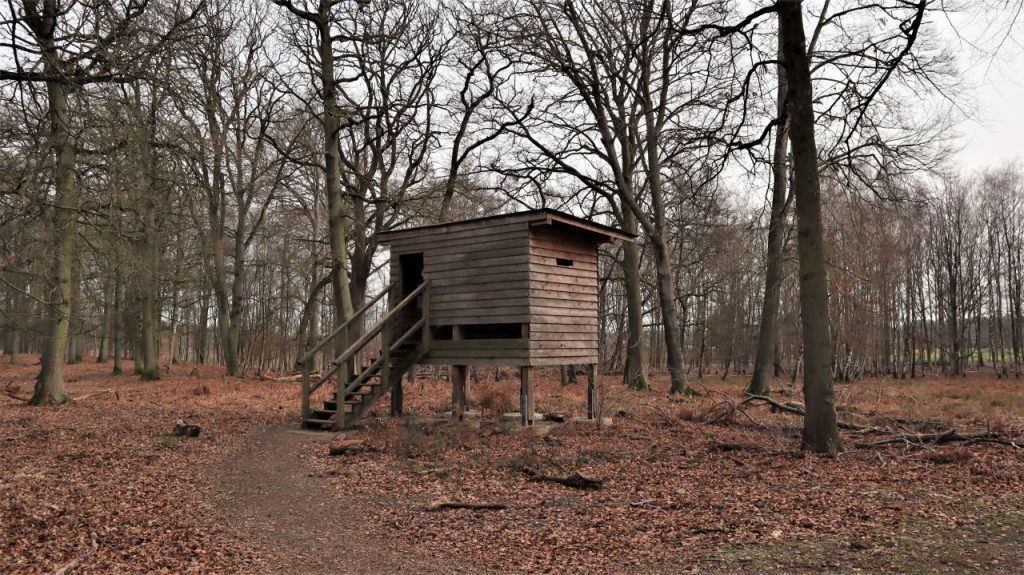 Aussichtskanzel im NSG Diersfordeterwald