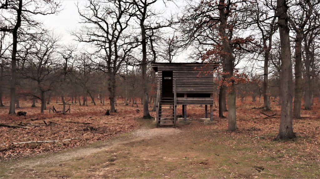 Aussichtskanzel im NSG Diersfordterwald