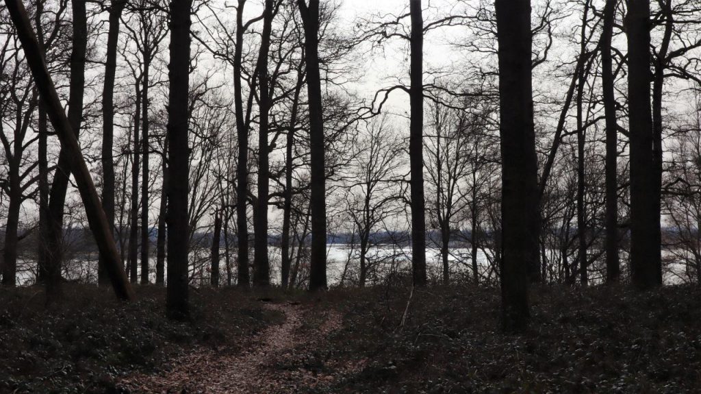 Diersfordter Waldsee