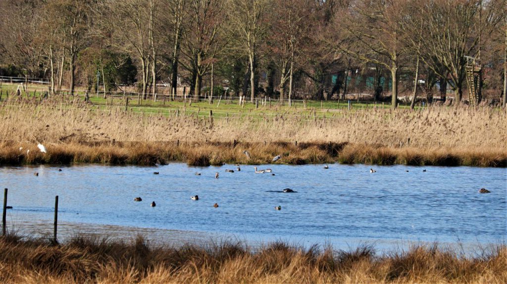 Vogelbeobachtungsgebiet