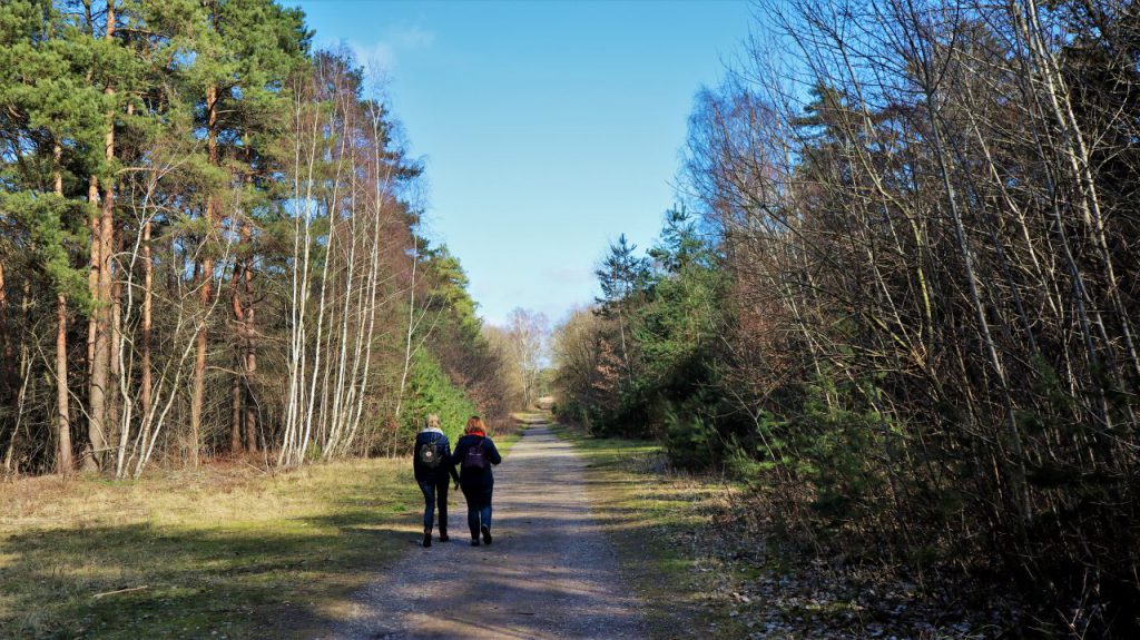 Im Wald Groote Heide