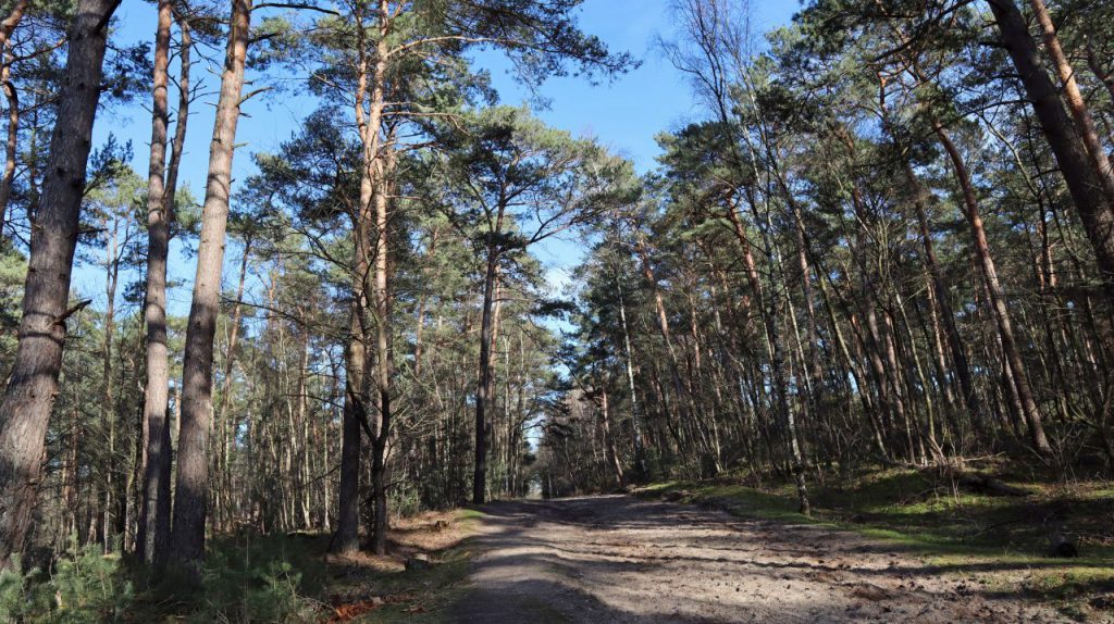 Auf dem Rückweg zum Wanderparkplatz Grotenrath