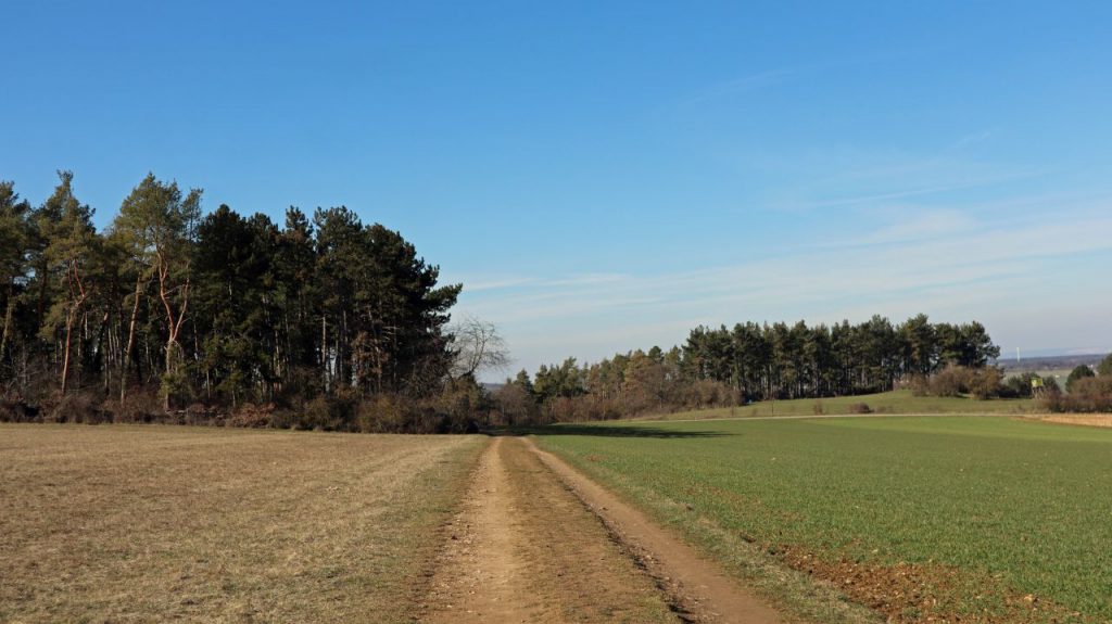 Parkplatz Geo-Wanderpfad NSG Bürvenicherberg