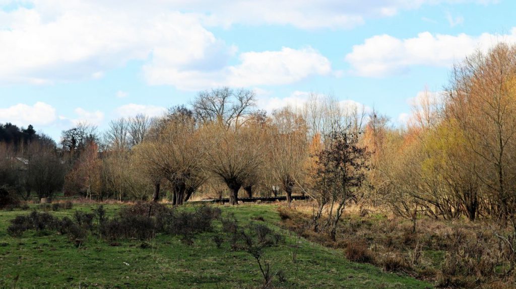 Holzsteg über den Rodebach