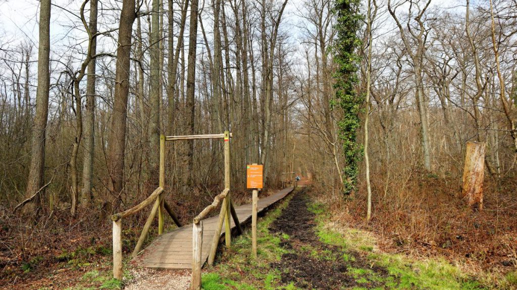 Holzbohlenweg an der Dalheimermühle