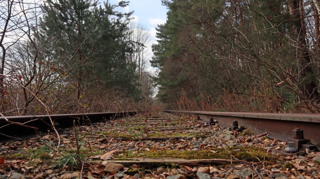 Ehemalige Eisenbahnstrecke Dalheim-Roermond