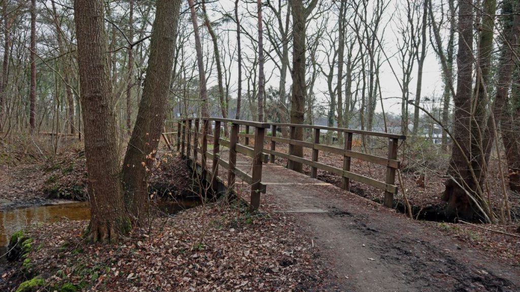 Brücke über den Rothenbach