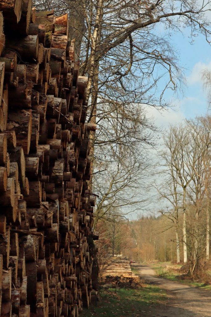 Holzstapel Nähe Dalheimermühle