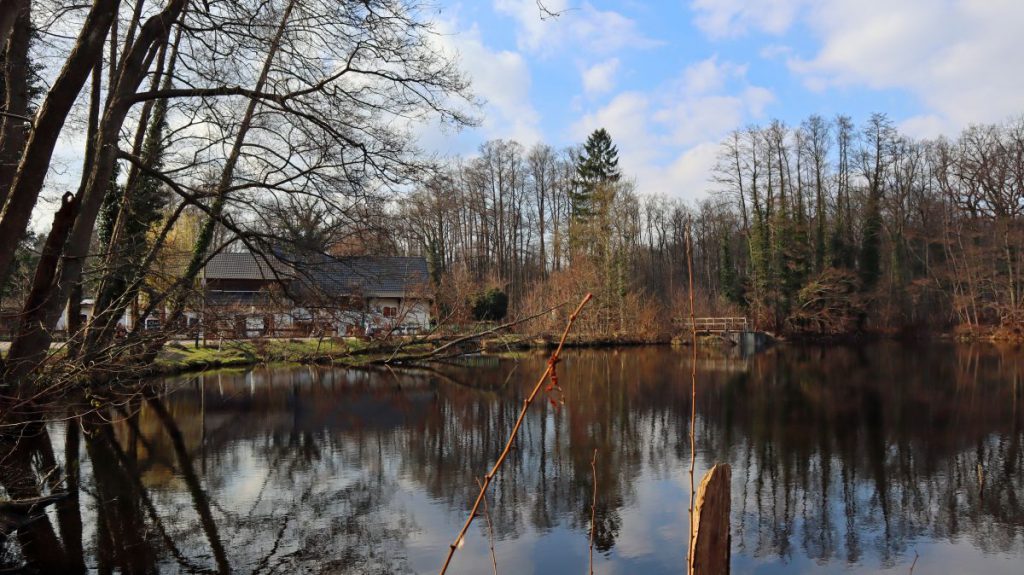 Dalheimermühlenweiher