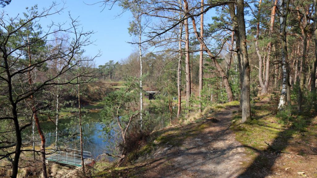 Angelweiher im Fenn