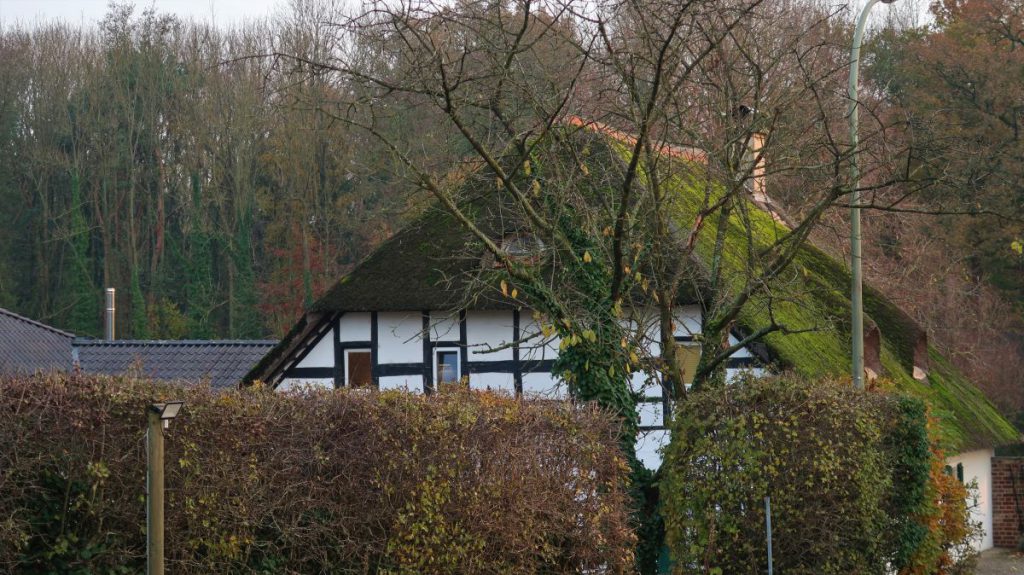 Reetgedecktes Fachwerkhaus in Schwaam