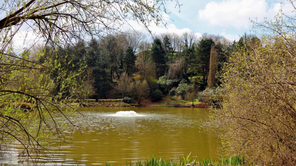 Weiher im Willy Dohmen Park