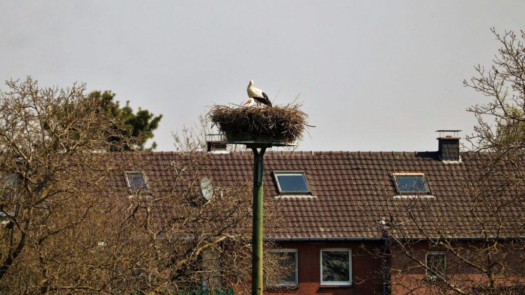 Storchennest Hubertushäuschen