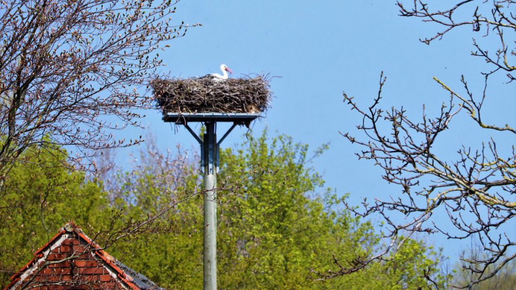 Storchennest Forellenstübchen