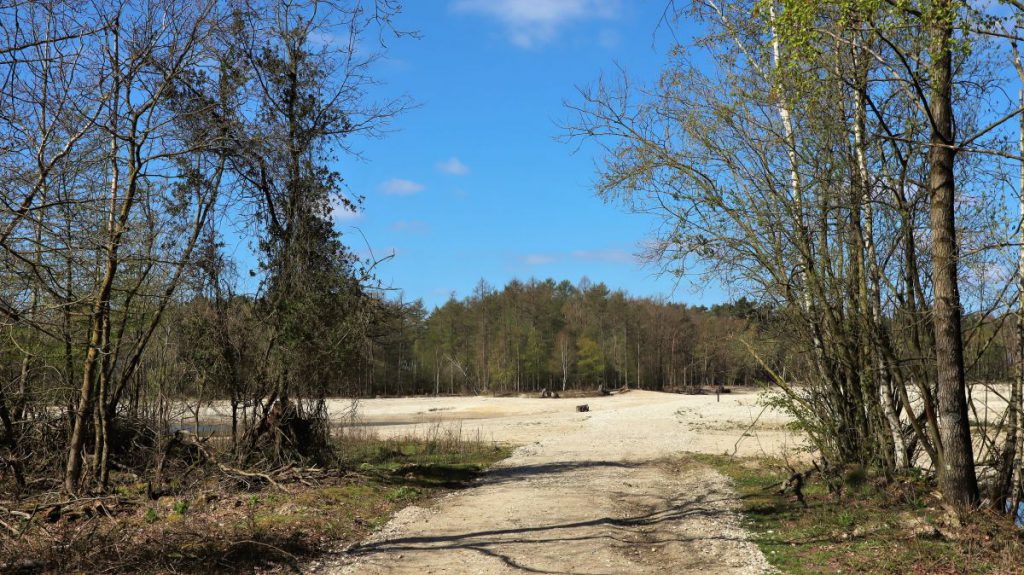 Sand- und Kiesbänke an den Seen