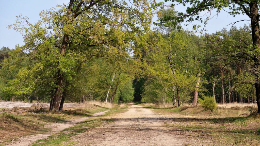 Weg im Galgenvenn