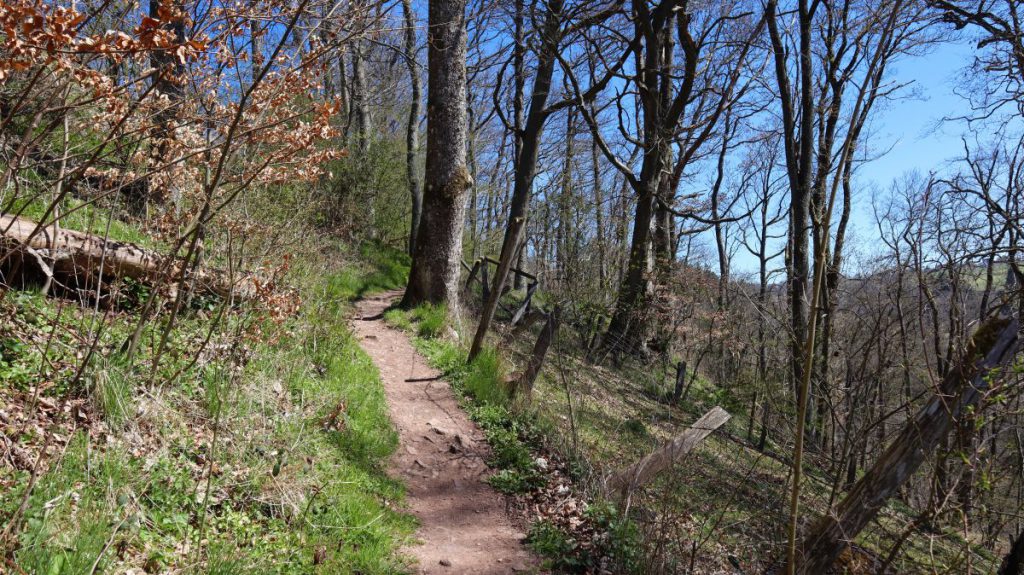 Auf dem Wildenburgsteig