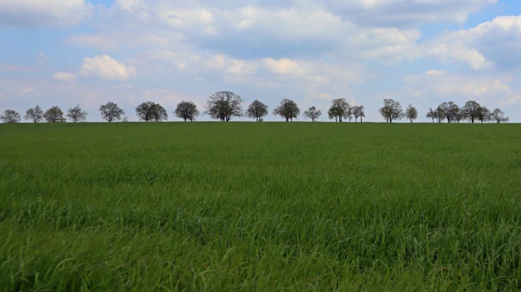 Straße zwischen Waldniel und Amern