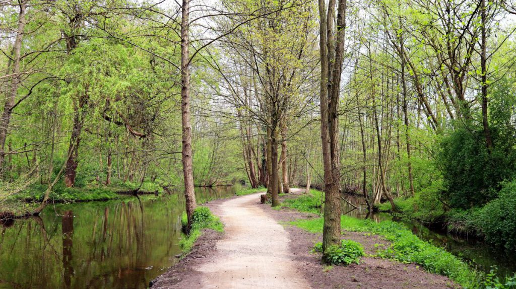 Weg zwischen den Armen der Schwalm