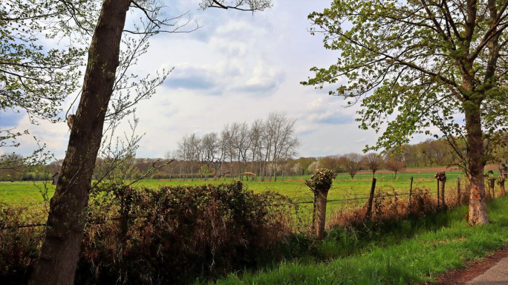 Blick über die Schwalmauenwiesen