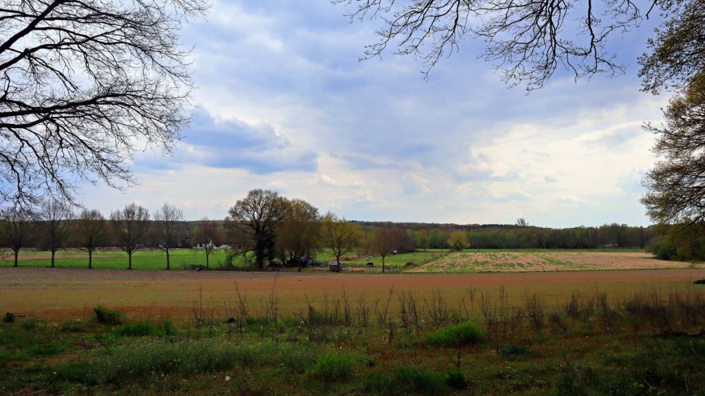 Blick über die Schwalauenwiesen