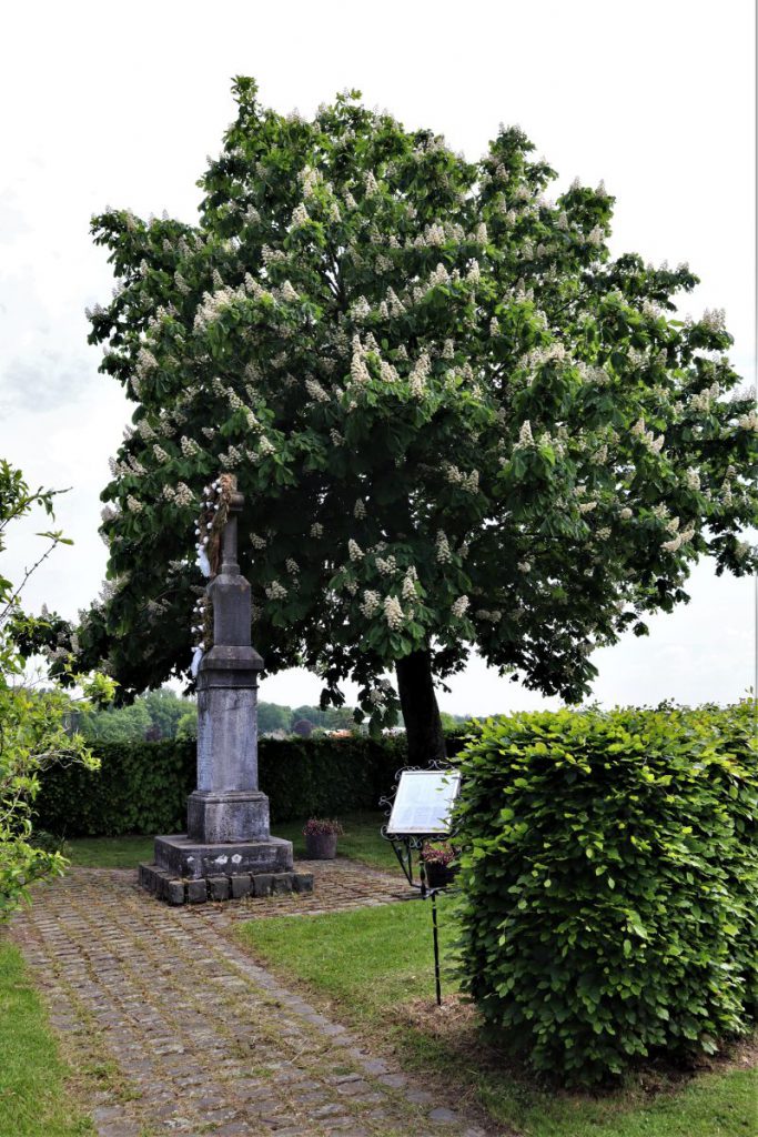 Steinkreuz Schwaamer Feld