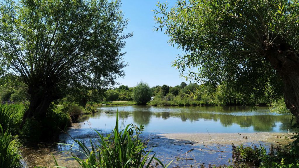 Teich Landschaftspark Hombroich