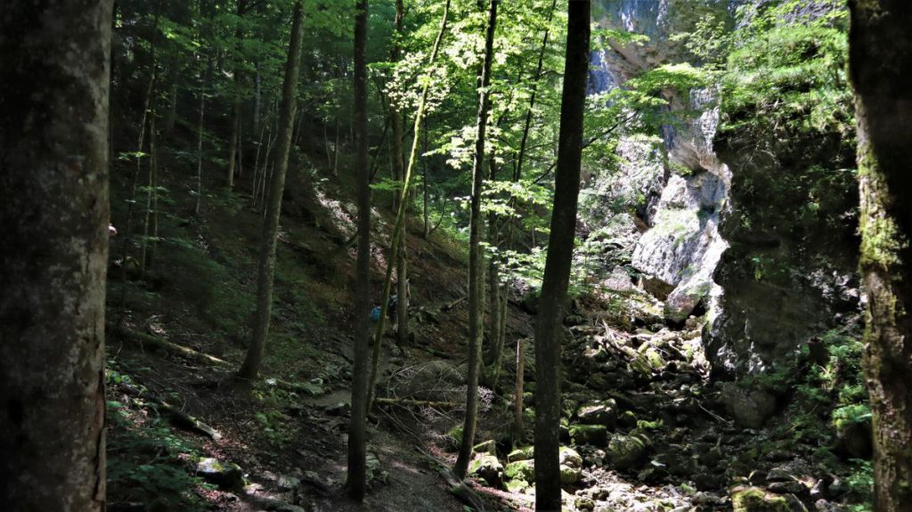 Klausenbachklamm