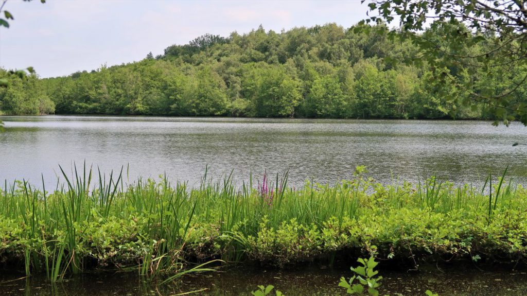 Holtmühlenweiher