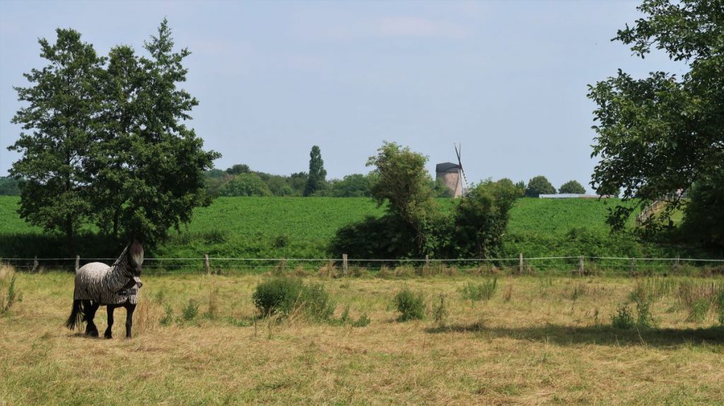 Blick zur Schriefersmühle