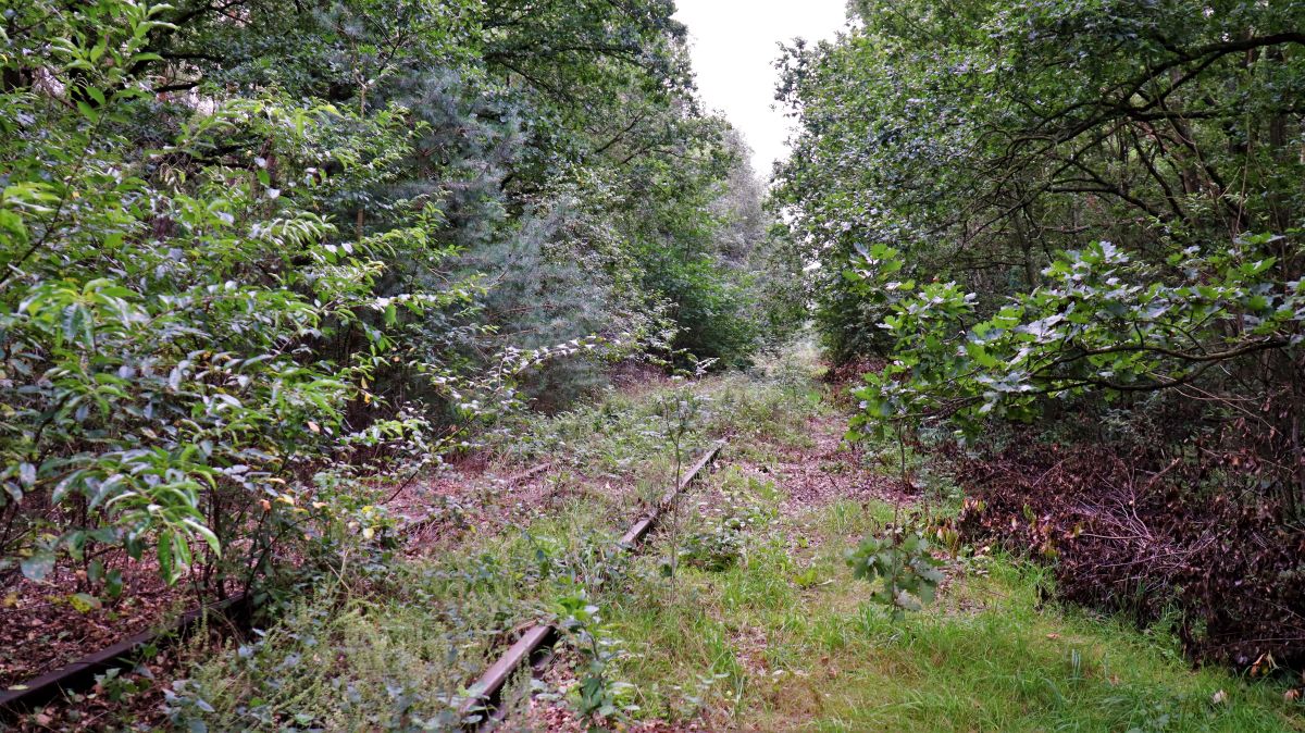 Alte Bahnstrecke Wegberg-Roermond im Meinweg