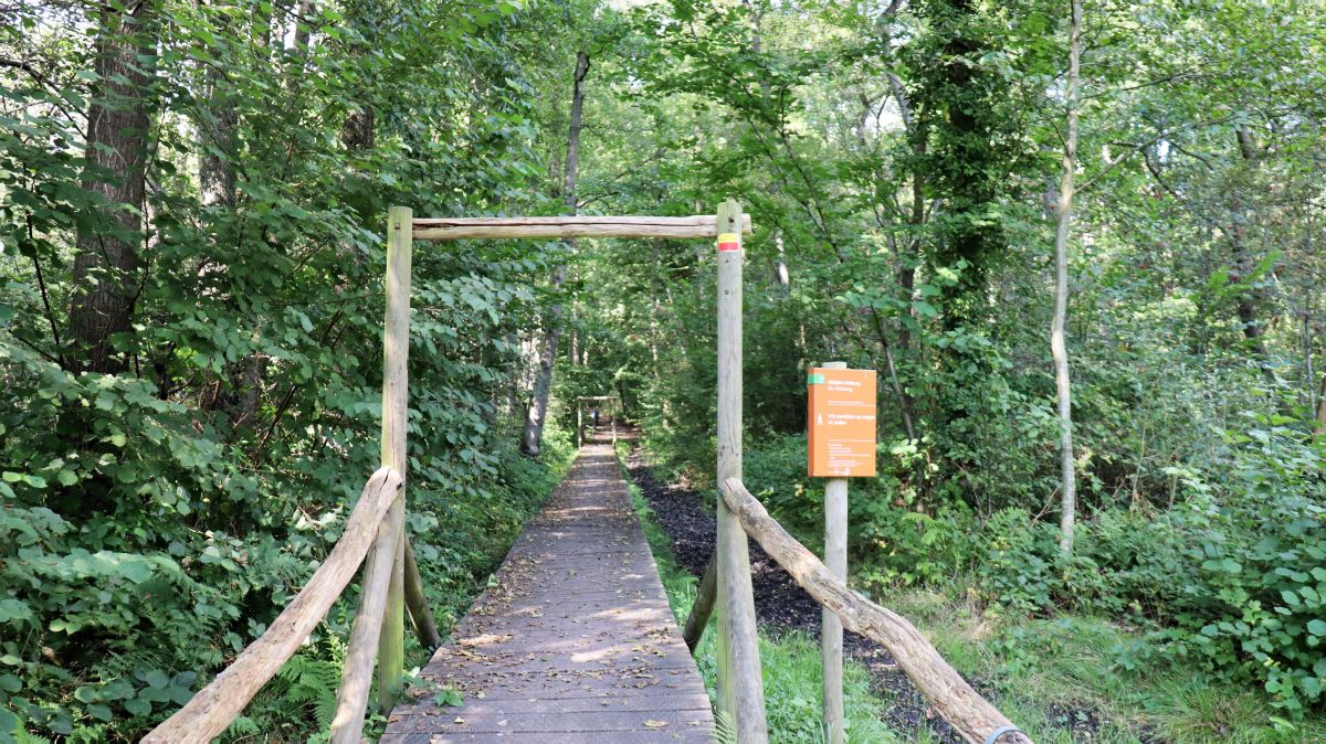 Bohlenweg an der Dalheimer Mühle