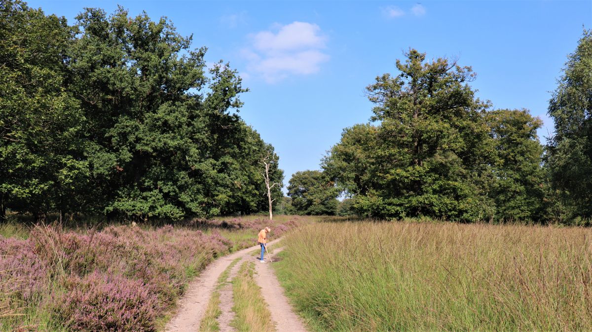 Auf der Heide