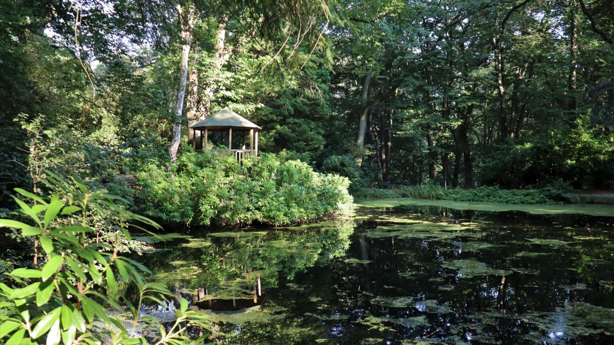 Pavillon mit Teich im Rhododendrenpark