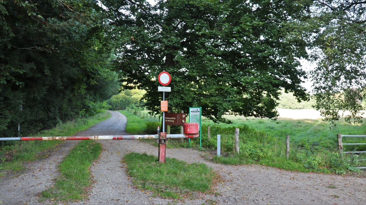 Wiesen am ehemaligen Kloster St. Ludwig