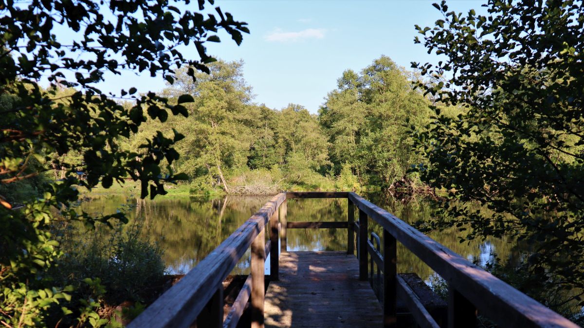 Steg am Weiher Dalheimer Mühle