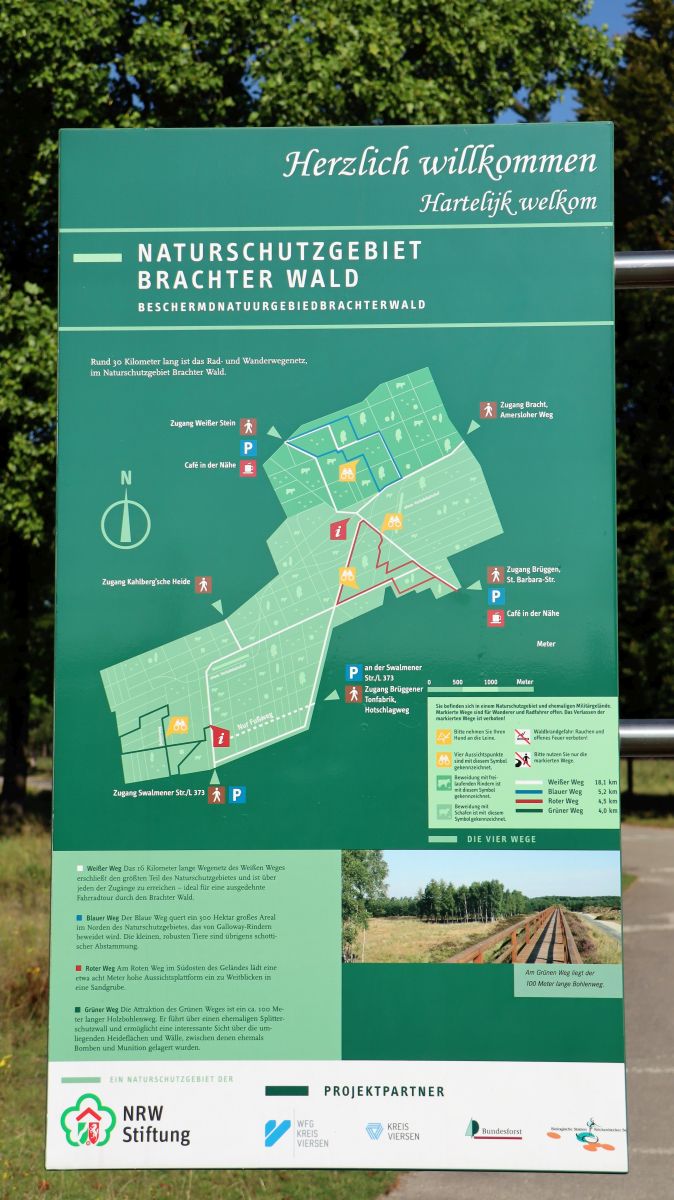 NSG Brachter Wald