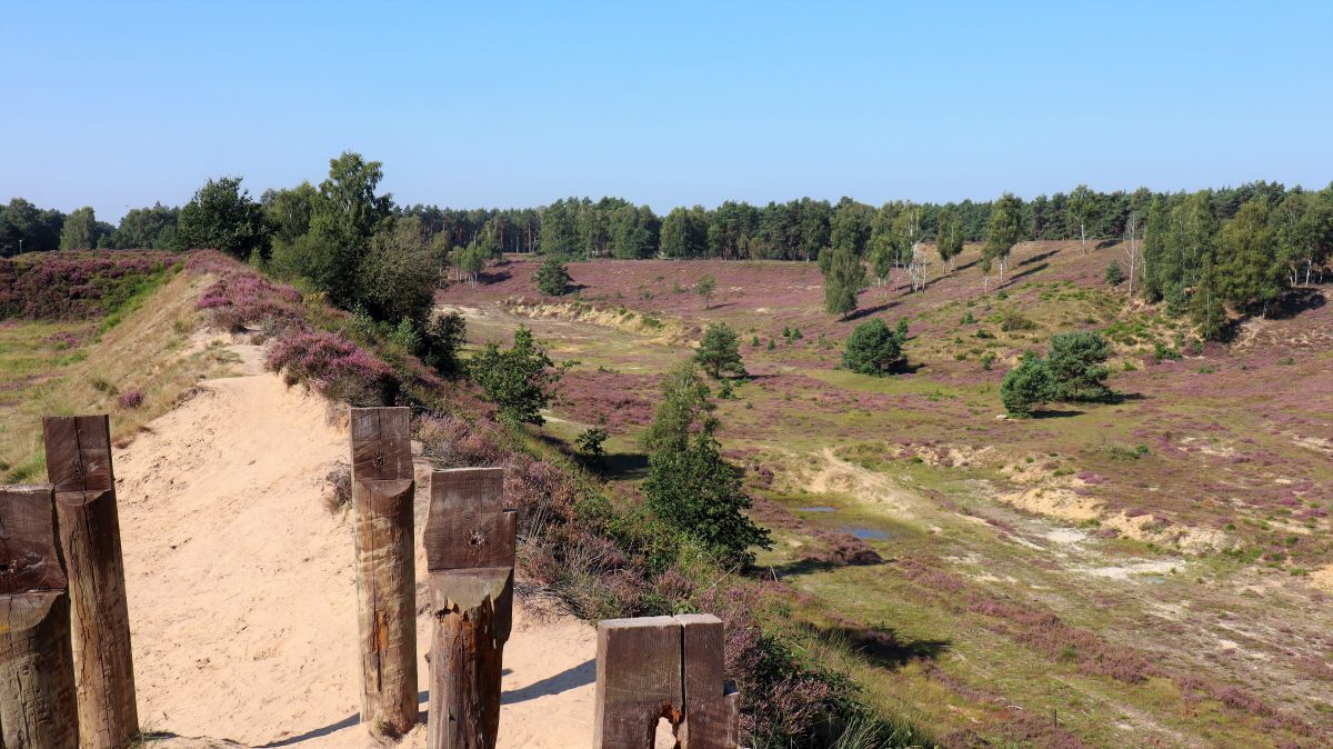 Blick auf Höhe der ehemaligen Aussichtsplattform