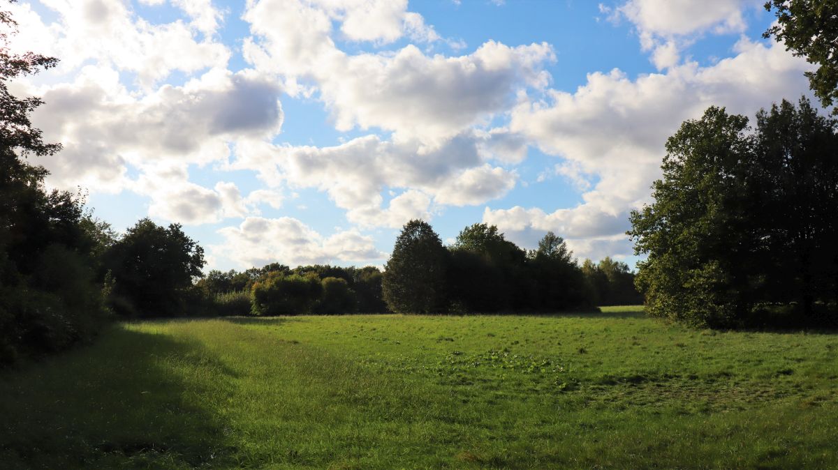 Freifläche am Sportpark