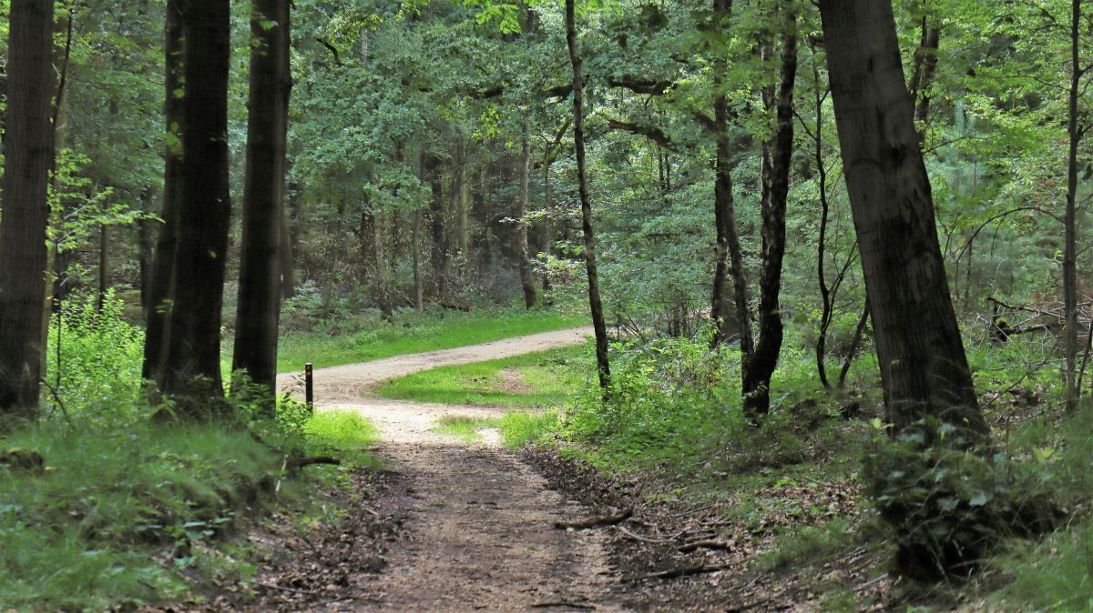 Wegekreuz an der Rödgerbahn