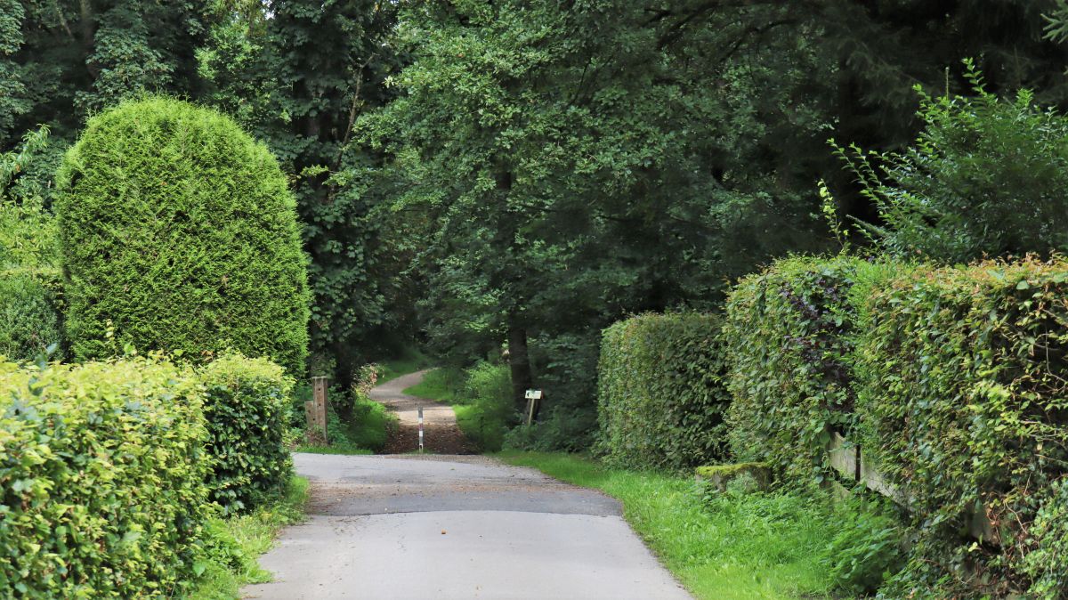 Rödger Bahn bei Rosenthal