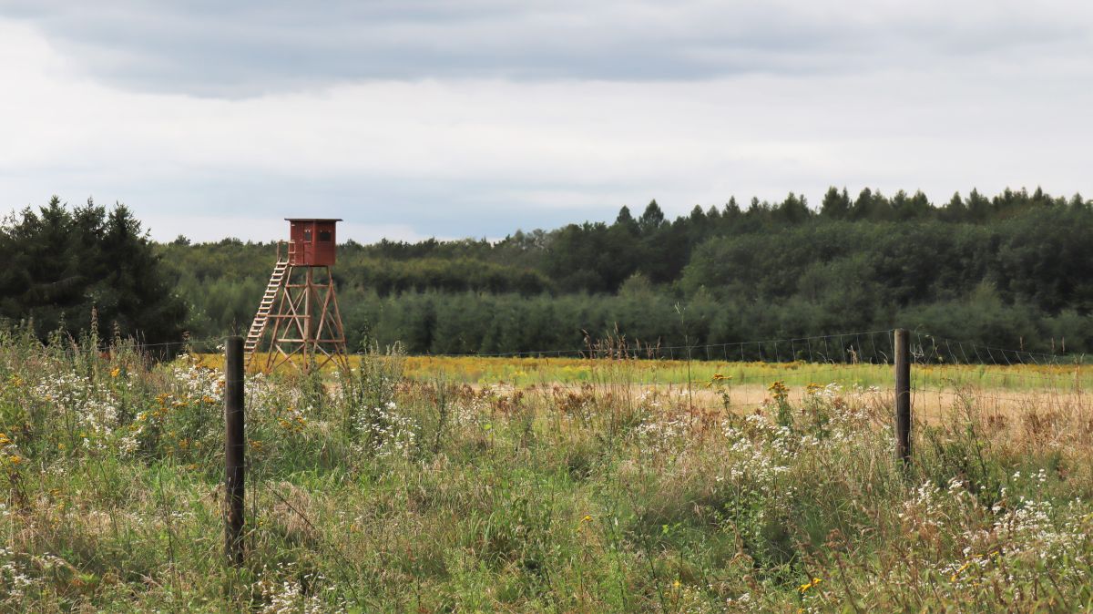 Jagdkanzel Lichtung Nähe Rödger Bahn