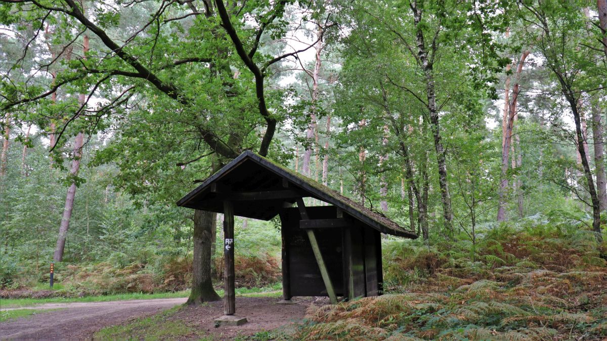 Schutzhütte Nähe Bong'sche Grube