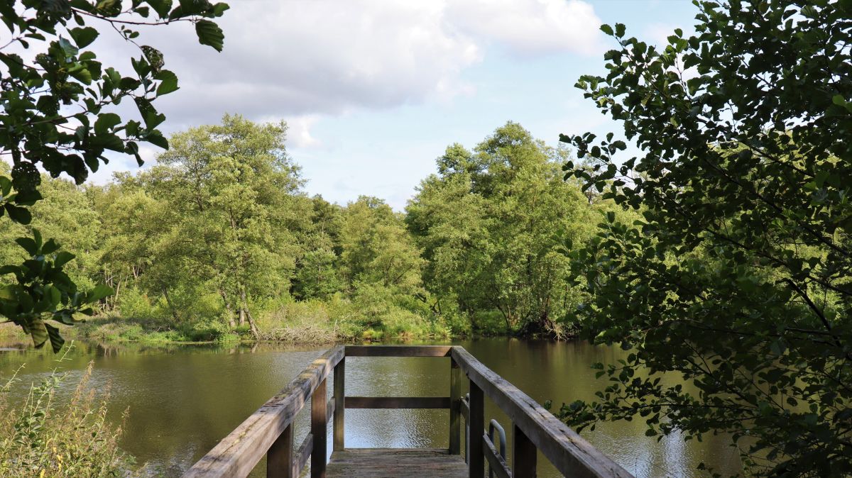 Steg am Weiher Dalheimer Mühle